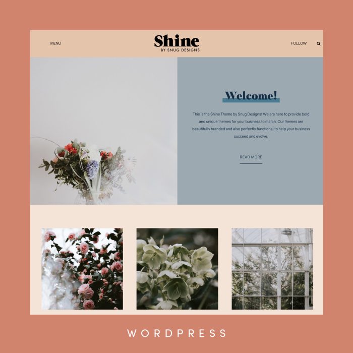 A screenshot of the Shine WordPress theme created by Snug Designs.