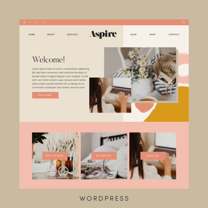 A screenshot of the Aspire WordPress theme created by Snug Designs.